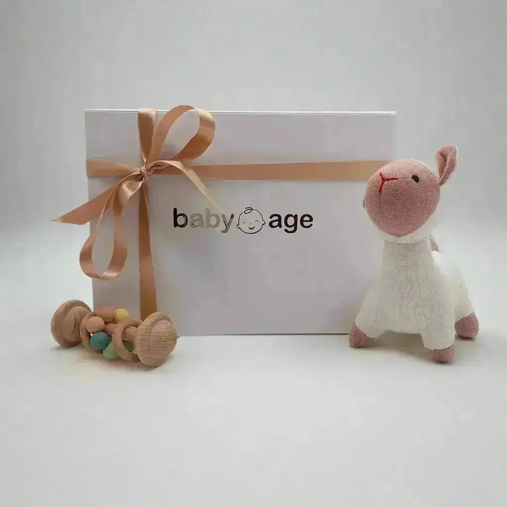 Personalised Teddy & Latte Blanket with Teether Baby Gift Set BabyAge