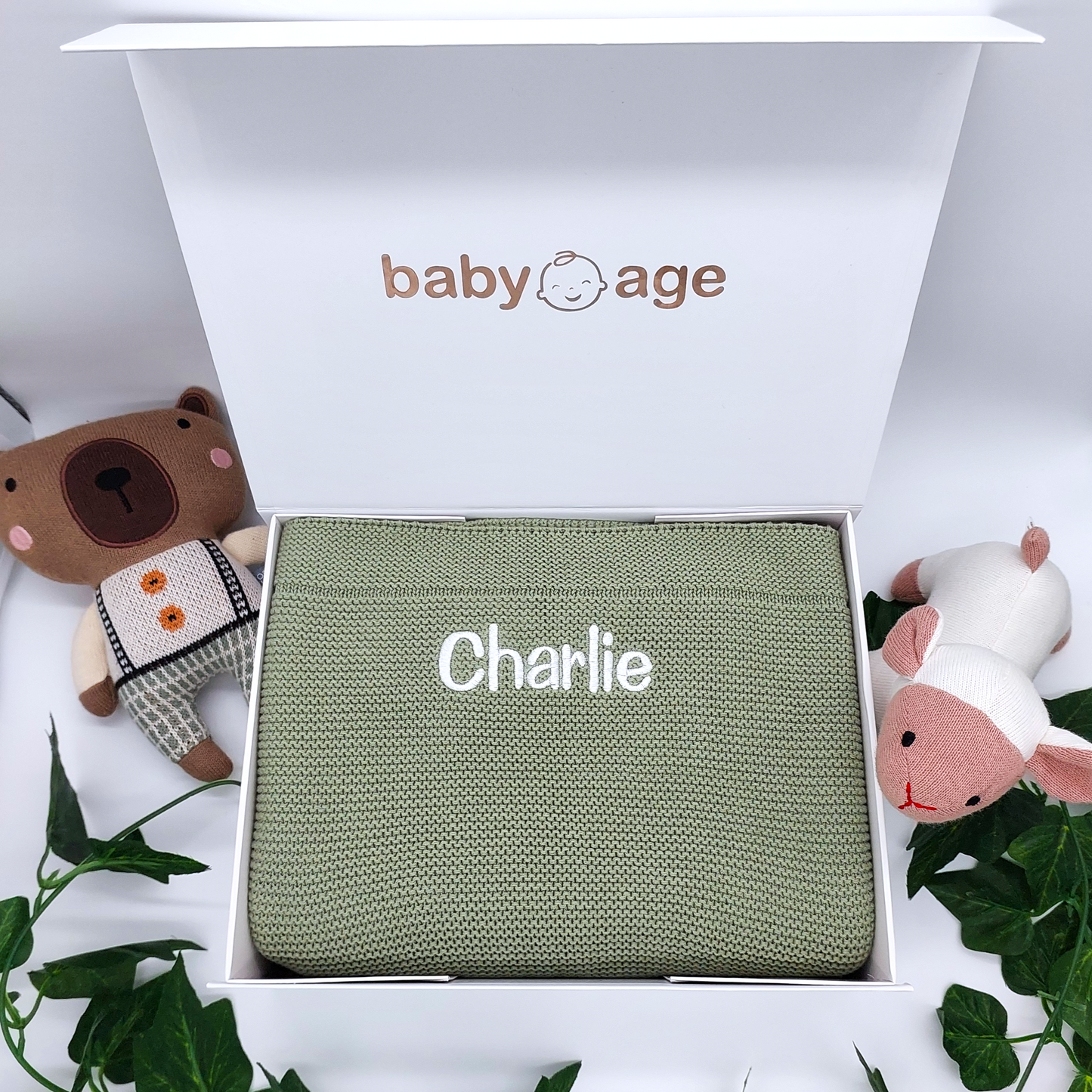 Luxury Baby Age Personalised Blanket in Sage